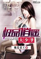 秦心纳兰夜爵免费阅读笔趣阁